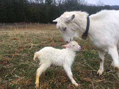 Land Basket Farm