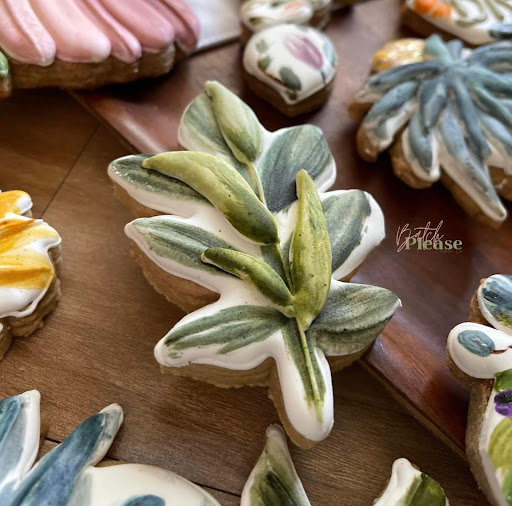 Batch Please Cookie Co - Visual