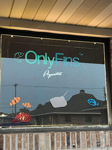 OnlyFins Aquatics