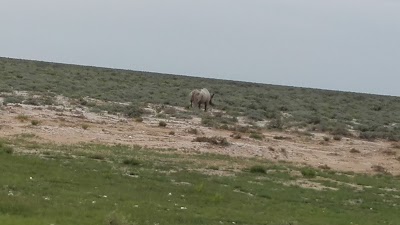 Photos of Etosha Pan Lookout