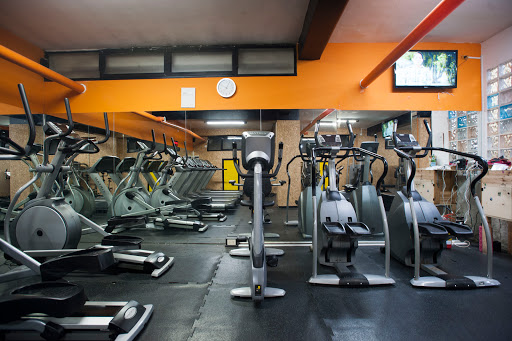 Up & Down Fitness S.S.D. Gallery - Italy