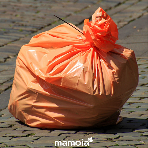 mamoia - Visual