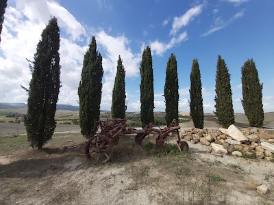 Strada dei Cipressi (SP 88)