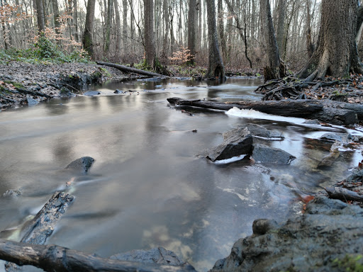 Königsbrünnchen - Visual