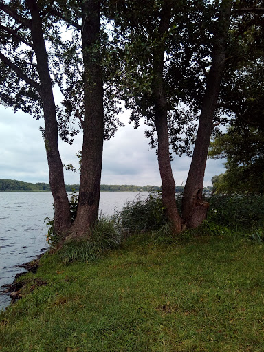 Körbiskrug - Visual