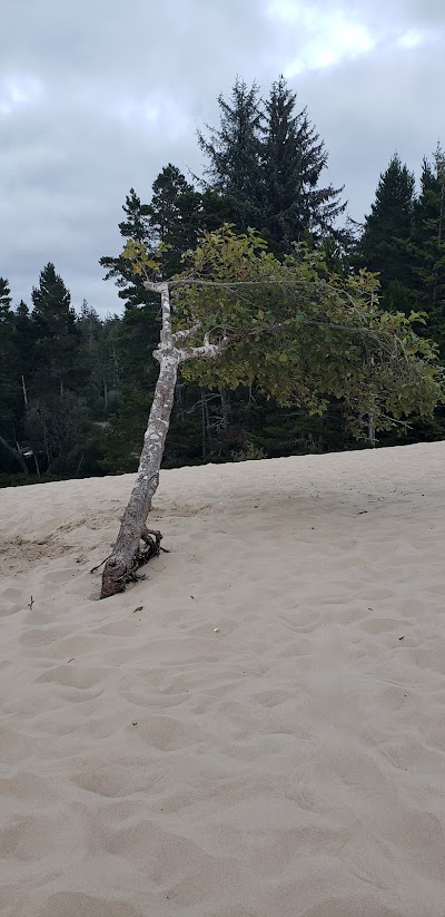 Jessie M. Honeyman Memorial State Park Campground