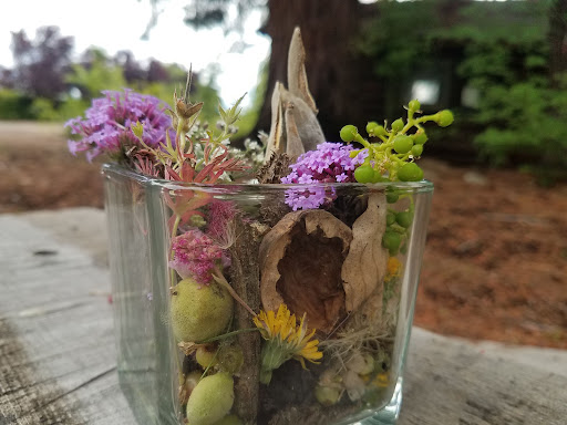 DIRT Learn By Doing - Visual