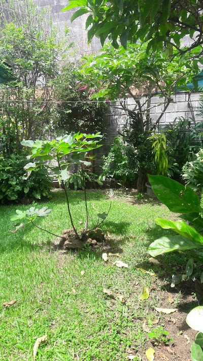 Photos of cancha san bartolome