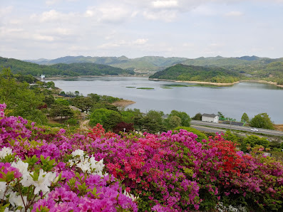 문의문화재단지 대한민국 충청북도 청주시 상당구 문의면 대청호반로 721 문의문화재단지
