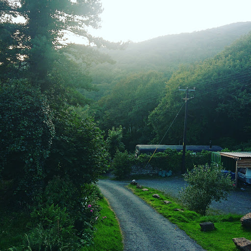 Coed Cae - Visual