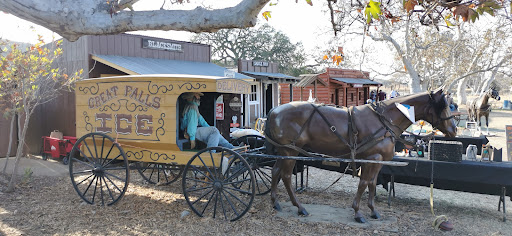 Joan's Farm & Pumpkin Patch - Thumbnail