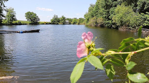 Photo n°9 de Chambre d'hôtes / Camping à la ferme / Gîtes / Auberge Bramefort à Champsac (Gîte)