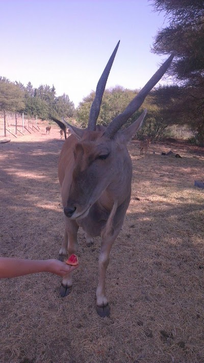 Photos of Ratho Bush Camp