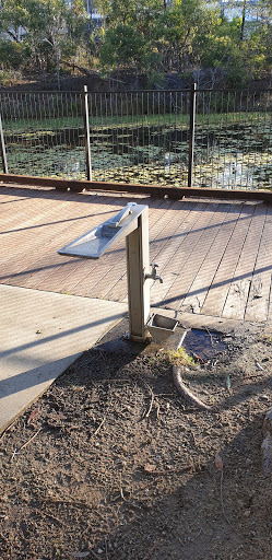 Teenager Park Gallery - Australia