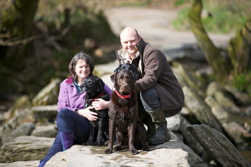 Devon Dog Boarding - Thumbnail
