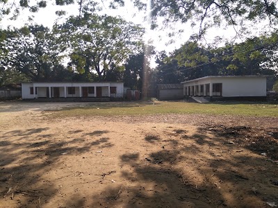 Photos of ৩৭ নং পিরগঞ্জ সরকারী প্রাথমিক বিদ্যালয়