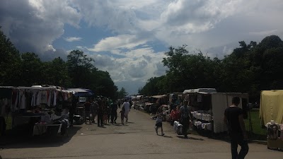 Photos of Багира