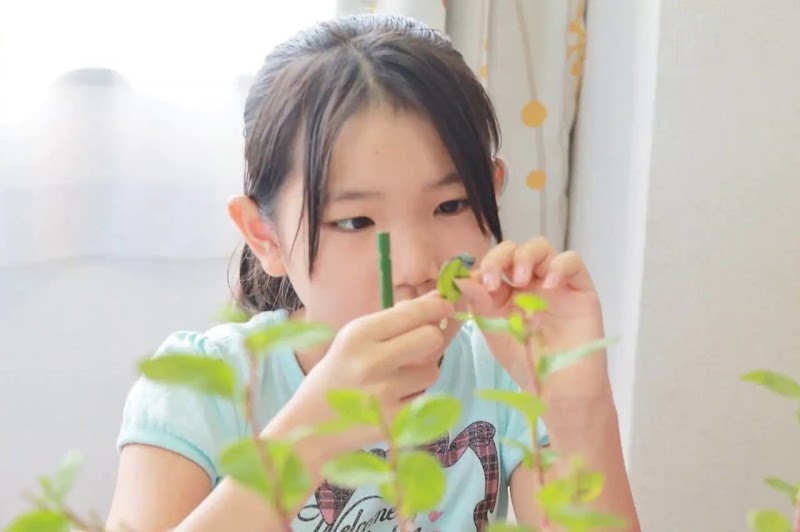 リテラ「考える」国語の教室