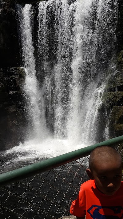 Photos of Ponderosa Adventure Park