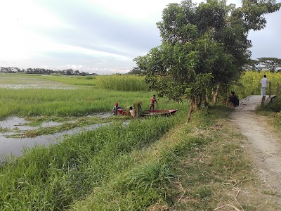 Photos of উত্তর কলমা বাইতুল নূর জামে মসজিদ