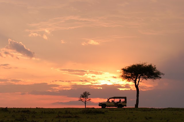 Fairmont Mara Safari Club