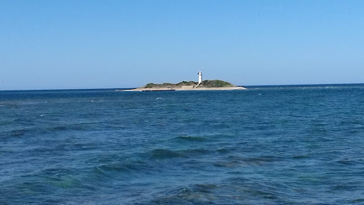 Licosa - Visual