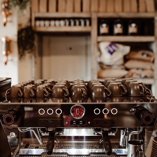 Arbuste Café Caen