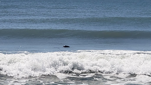 Nobadeer Beach - Thumbnail