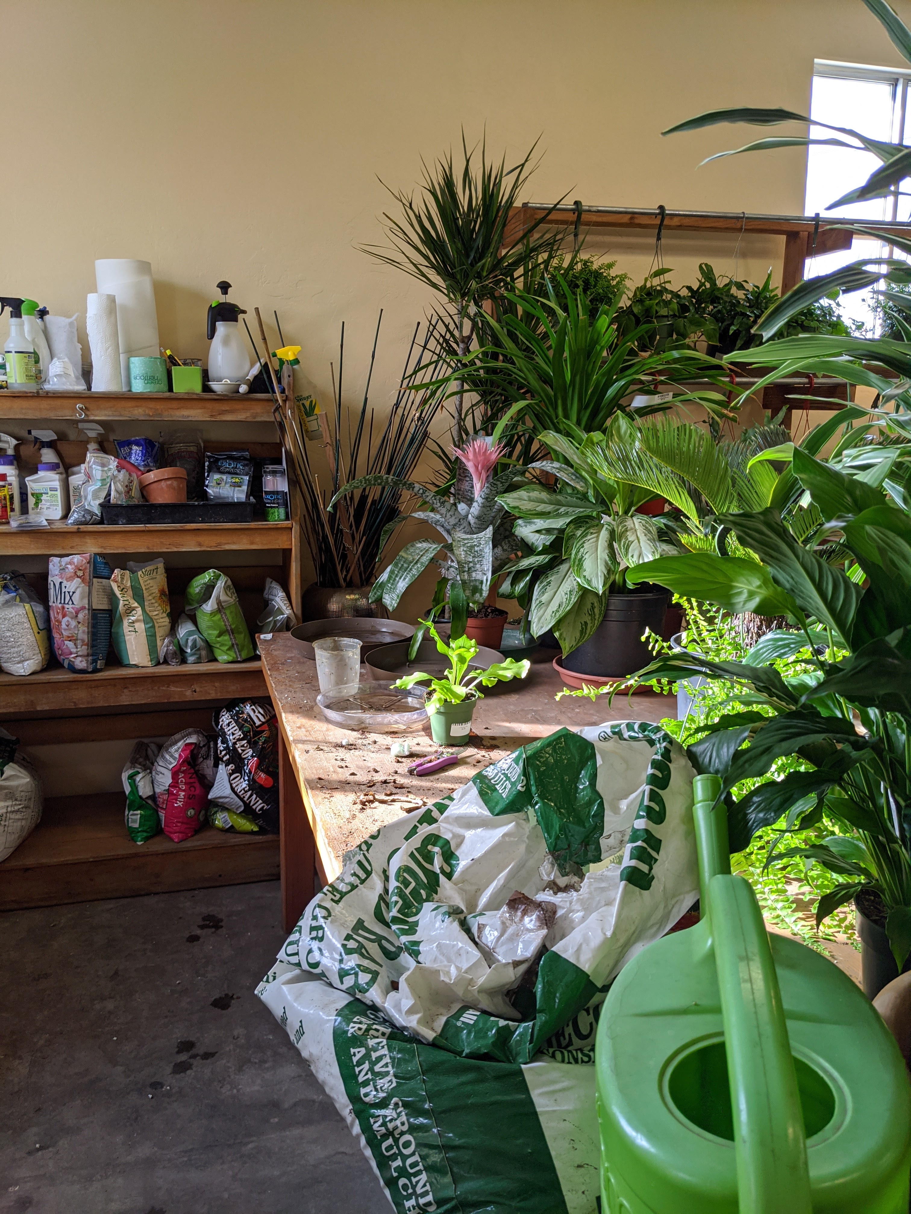 Westbrae Nursery
