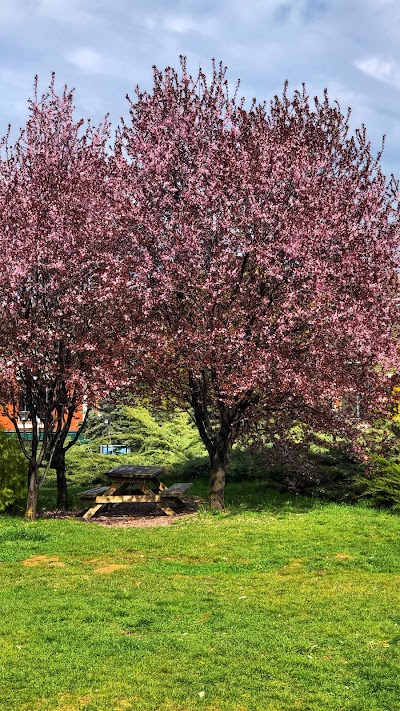 Hacettepe Üniversitesi İktisadi ve İdari Bilimler Fakültesi