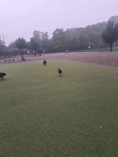 Burlington Dog Park at Rahanis Park