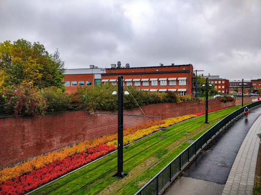 Biologihuset - Thumbnail