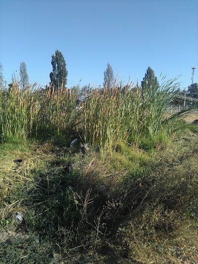 Photos of plaza las aralias
