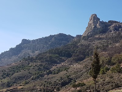 Photos of cafe l Abreuvoir