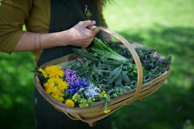 Chestnut School of Herbal Medicine