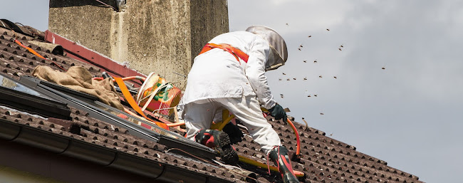 KO SERVICES AS DE PIC NORD - Calais