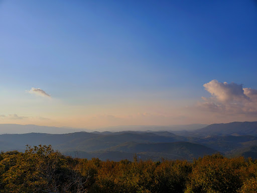 Moses Cone Overlook Gallery - United States