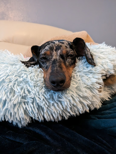 Vale Veterinary Clinic Gallery - United States