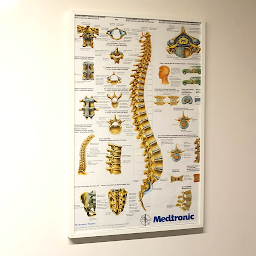 Photo n°13 de Jérémy EX-IGNOTIS à Montigny-lès-Metz (Ostéopathe)