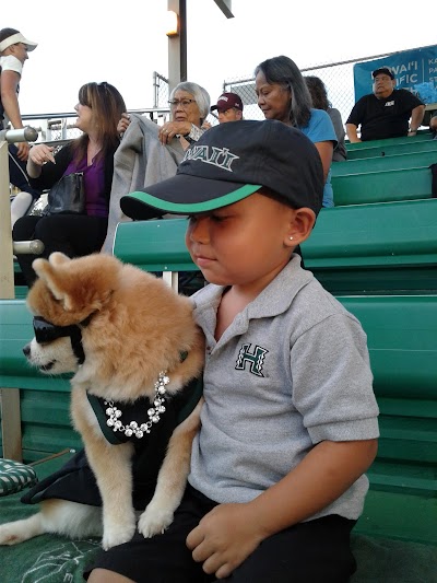 Rainbow Wahine Softball Stadium