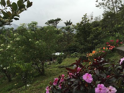 Photos of Finca La Liria