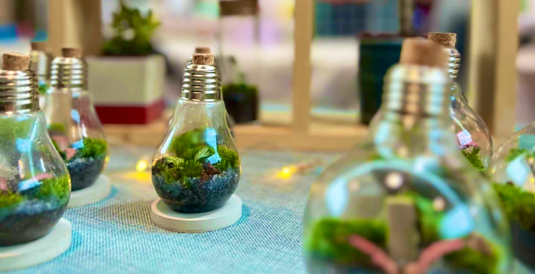 WildBulb photo 3