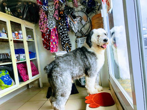 Centro Veterinario Ortiz