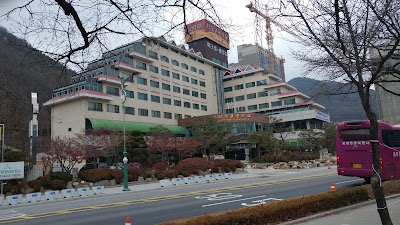 Photos of 단양관광호텔앞