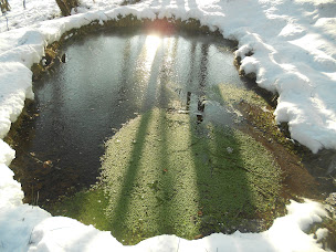 Photo n°46 de Les Cabanes perchées du Goutty - Séjour insolite Alsace - Vosges à Grandfontaine (Cabanes en rondins)