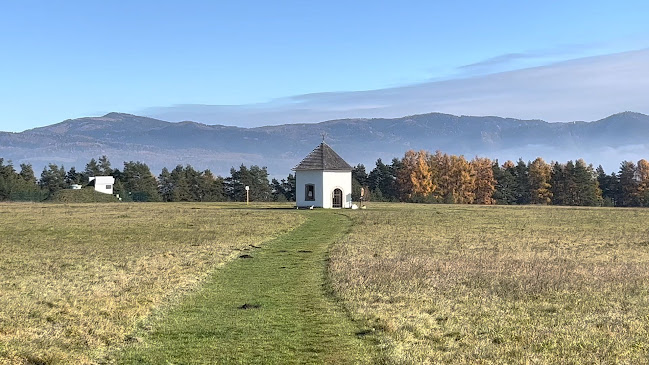 Pútnická katedrála sv. Martina - Spišské Podhradie