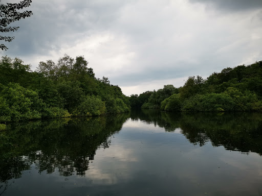 Spiegelvijver - Thumbnail
