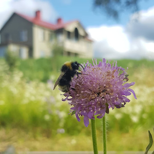 Hemre Gård - Visual