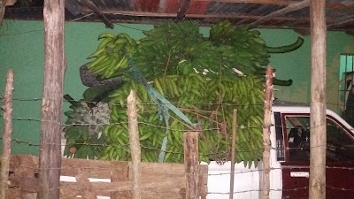 Photos of Delicias Caribenas
