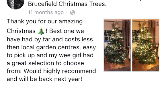 Storry Christmas Trees West Badallan Farm, Fauldhouse EH47 9AG, United Kingdom
